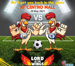 Lord of the wings